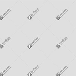 السيد اندريا بحبح